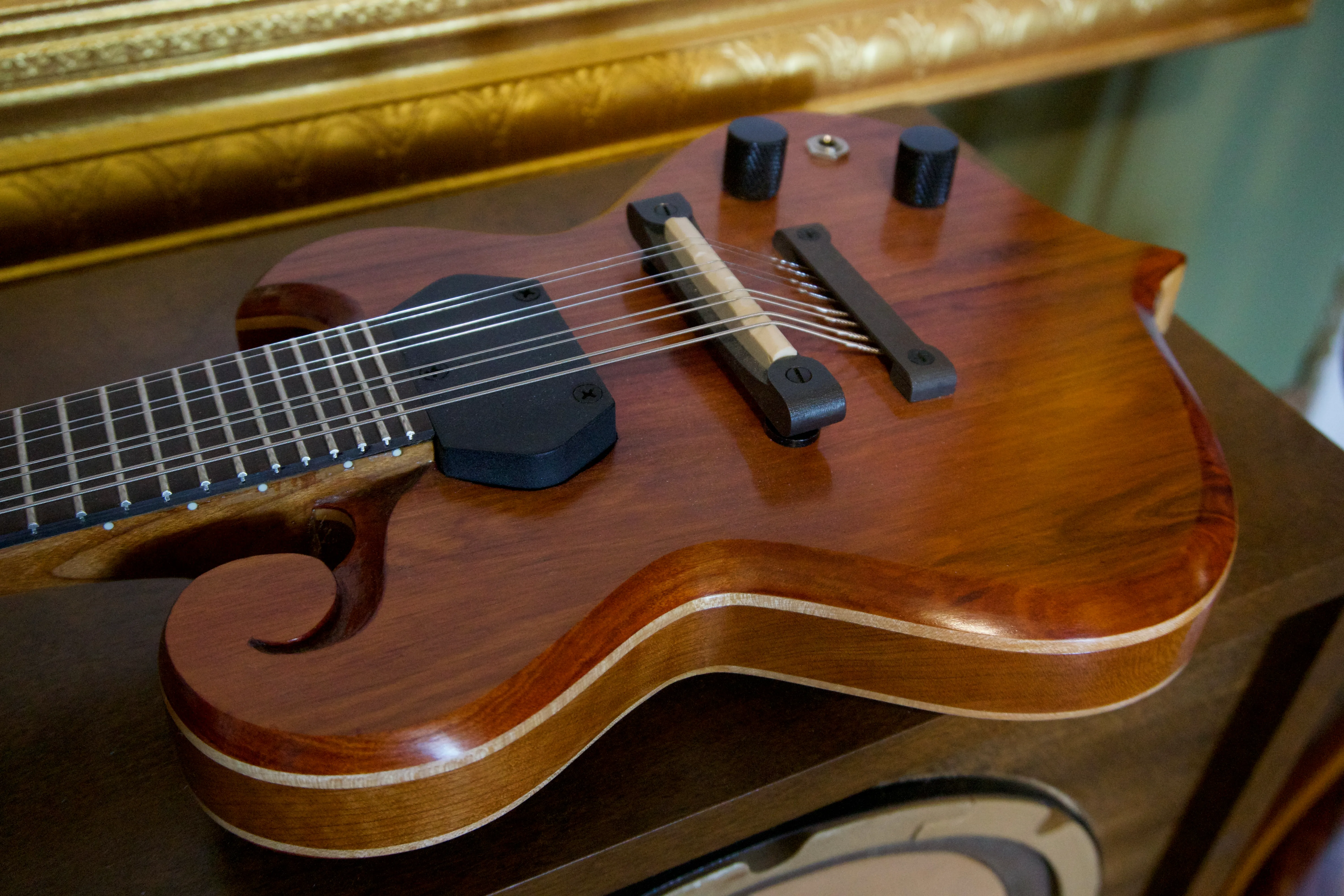 Redheart electric mandolin side